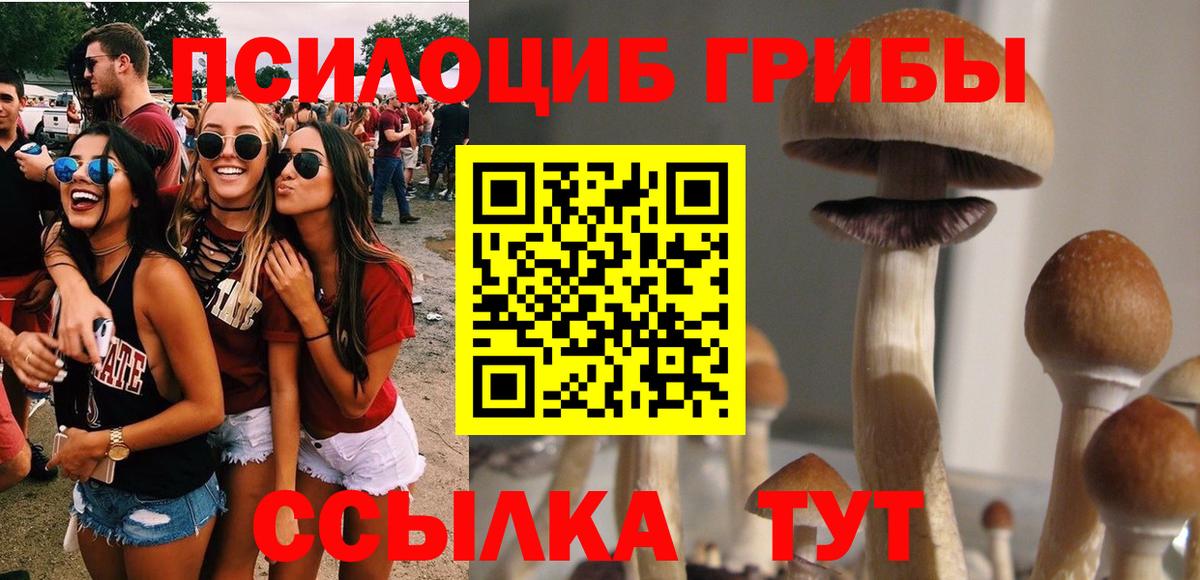 Галлюциногенные грибы мицелий  Вход с VPN  Нижний Тагил 